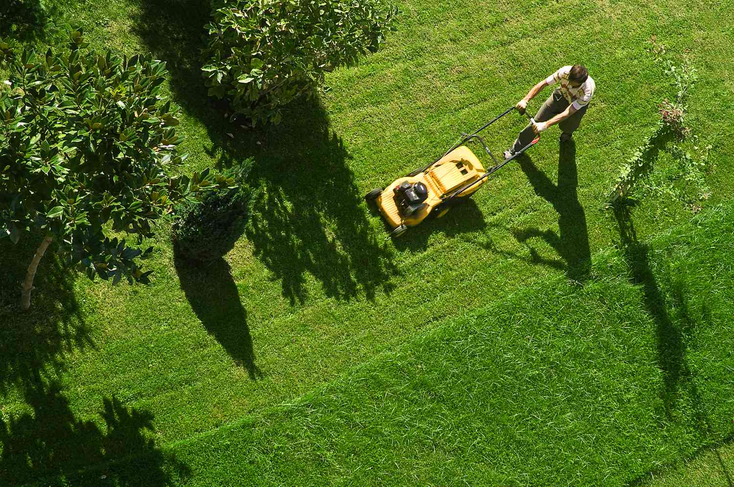Lawn Mowing Tips